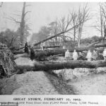 Storm Ulysses obtuvo su nombre de la novela de James Joyce que se desarrolla el año posterior a la tormenta y describe el daño que causó a miles de árboles en Dublín, Irlanda.  En la imagen: fotografía de árboles derribados durante la tormenta Ulysses en Dublín, Irlanda