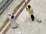 Mira el momento en que una mujer destroza a un robot recepcionista con una tabla de madera