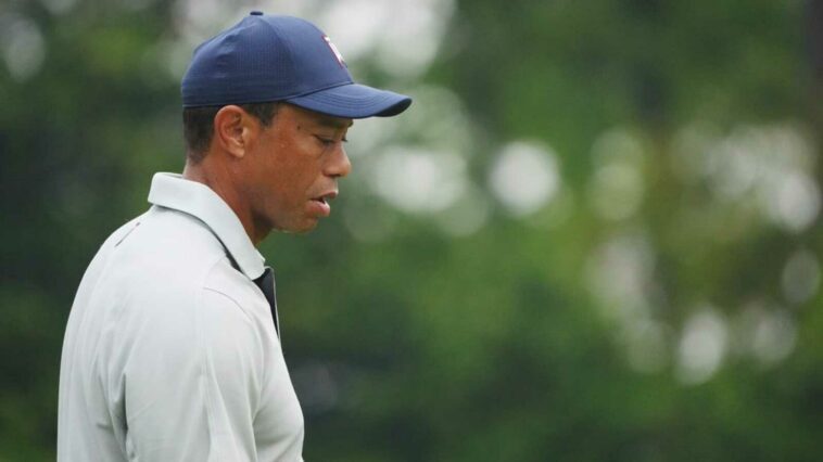 Tiger Woods se une a Rory McIlroy a favor del retroceso de la pelota de golf