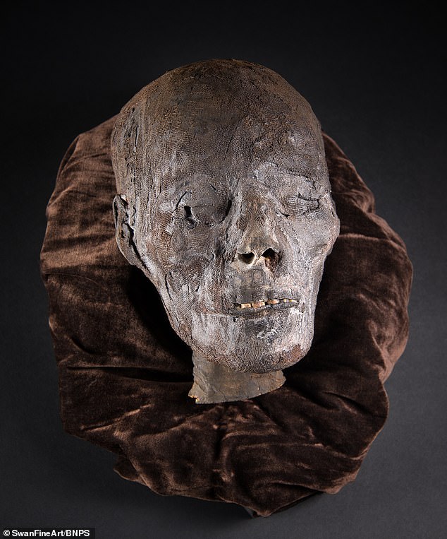 Peculiar: una rara cabeza egipcia momificada de 2.800 años que fue traída al Reino Unido por un soldado británico durante la Primera Guerra Mundial ha salido a la venta.