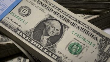 AMLO respalda al dólar estadounidense como la 'moneda principal' del mundo