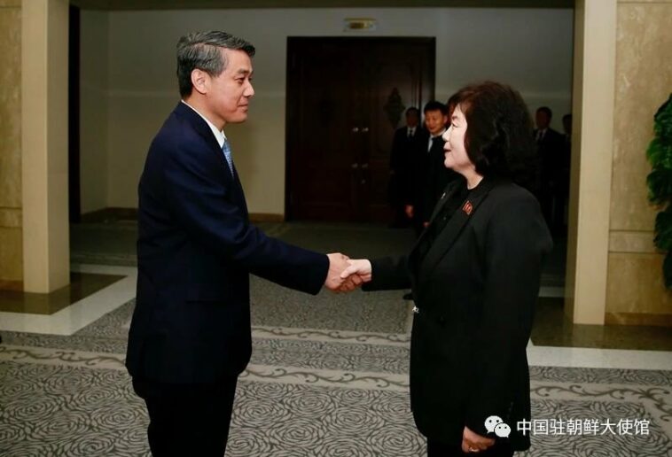 (LEAD) N. Korean FM vows stronger ties with China in meeting with new envoy