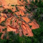 Brasil: La deforestación de la selva amazónica cayó un 67,9 % en abril