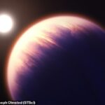 El telescopio espacial James Webb de la NASA no fue diseñado para analizar exoplanetas, pero el dispositivo demostró que puede detectar moléculas esenciales para la vida en las atmósferas.