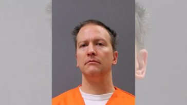 Derek Chauvin está apelando su condena por asesinato de George Floyd, otra vez |  La crónica de Michigan
