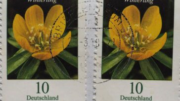 Deutsche Post dice que la inflación hace que el aumento de los costos postales sea inevitable