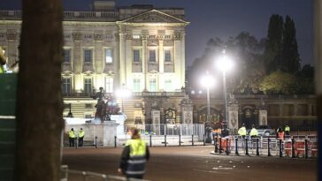 El Palacio de Buckingham fue cerrado luego de que un hombre fuera arrestado por arrojar presuntos cartuchos de escopeta al...