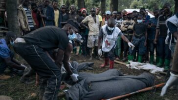 El número de víctimas de las inundaciones en la República Democrática del Congo aumenta a casi 400: funcionario |  The Guardian Nigeria Noticias