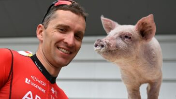 'He ganado tres cerdos... Y casi seguro que me los comí' - Tro-Bro Léon y el premio más raro del ciclismo
