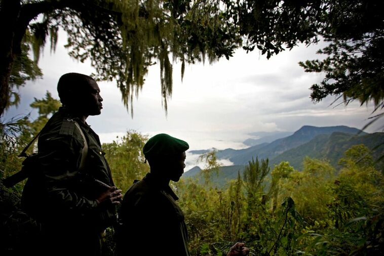 File image: Rangers at Virunga National Park.  (Photo by Brent Stirton/Getty Images)
