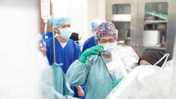 La asequibilidad hace que más extranjeros se dirijan a los hospitales privados de Johor para recibir tratamiento