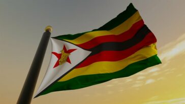 La nueva moneda digital respaldada en oro de Zimbabue: todo lo que necesita saber