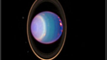 Mundos de hielo distantes: los científicos de la NASA dicen que las lunas de Urano, Titania y Oberón, pueden tener océanos lo suficientemente cálidos como para albergar vida.  El planeta está rodeado por sus cuatro anillos principales y 10 de sus 27 lunas conocidas en esta imagen del Telescopio Espacial Hubble tomada en 1998.