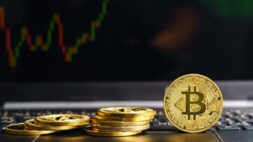 michael saylor view on bitcoin price