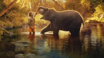 Oscars 2023: The Elephant Whisperers gana el premio al Mejor Cortometraje Documental