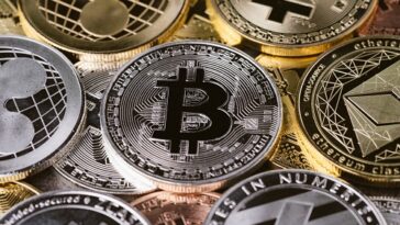 Pompliano: Bitcoin puede ser la compañía de seguros más grande del mundo