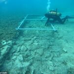 Descubrimiento: los restos de un camino de la Edad de Piedra (en la foto) que se construyó hace 7.000 años han sido descubiertos en el fondo del mar Mediterráneo.