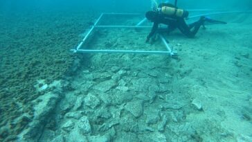 Descubrimiento: los restos de un camino de la Edad de Piedra (en la foto) que se construyó hace 7.000 años han sido descubiertos en el fondo del mar Mediterráneo.