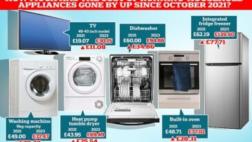 El costo promedio de funcionamiento de los electrodomésticos comunes se ha disparado de £ 283 a £ 447