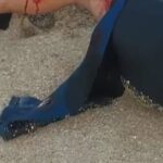 Un surfista atacado por un gran tiburón blanco fue rescatado por otros surfistas, quienes lo arrastraron de regreso a la orilla, solo unas semanas antes de que se lleve a cabo un evento de la gira mundial en la misma playa de Sudáfrica.
