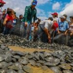 Venezuela libera 20.000 tortugas para conservación de especies