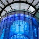 ¿Por qué explotó el acuario gigante AquaDom de Berlín?