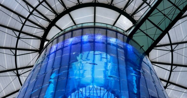 ¿Por qué explotó el acuario gigante AquaDom de Berlín?