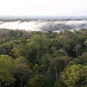 Brasil anuncia plan para descarbonizar la Amazonía