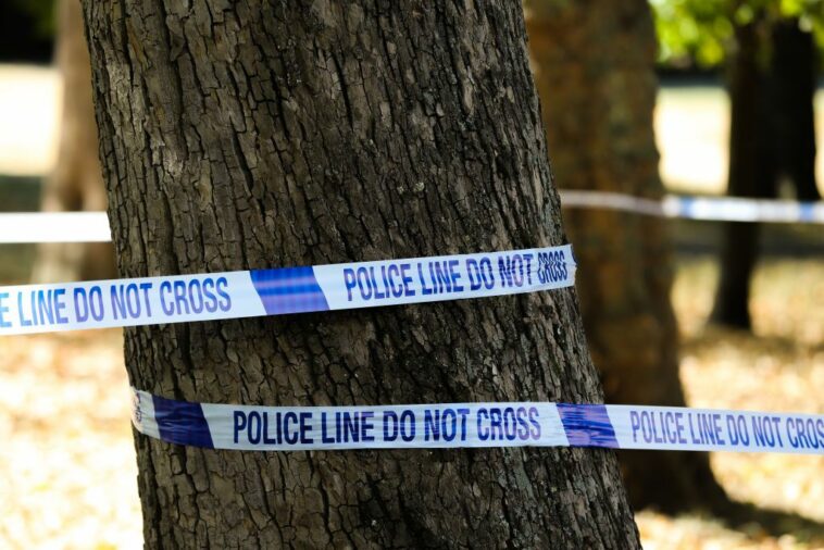 Ciclista de Londres salió con heridas graves cuando una pandilla robó una bicicleta de £ 12,500