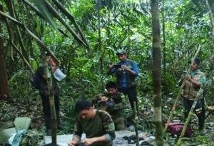 Cuatro niños desaparecidos encontrados vivos en la selva colombiana