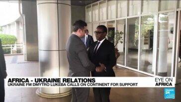 El canciller de Ucrania pide el apoyo de África y llama a los líderes a elegir sabiamente a sus amigos