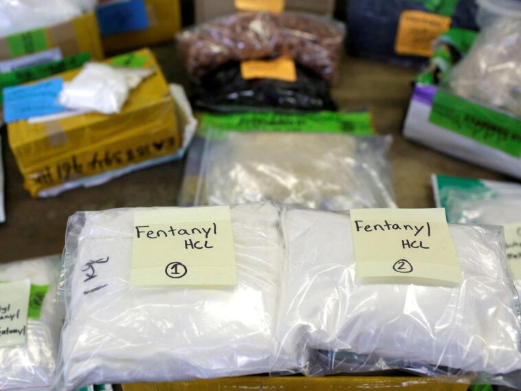 Estados Unidos acusa a empresas chinas de tráfico de materiales de fentanilo