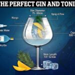 Justo a tiempo para el Día Mundial del Gin, los científicos han revelado la receta del gin-tonic perfecto