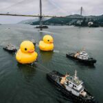 No todos los días ves un pato de goma gigante de 60 pies de altura flotando en las aguas de Hong Kong, y mucho menos dos