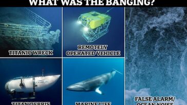 Según los expertos, los 'golpes' podrían haber sido de equipos de búsqueda en el área, vida marina como ballenas o incluso sonidos de las profundidades del Atlántico.