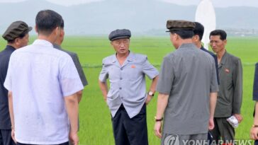 N. Korea ramps up efforts to minimize damage from heavy rains