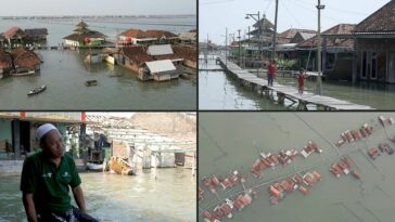 Desastre lento: Dentro de la aldea de Indonesia siendo engullida por el mar