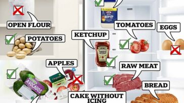 Desde el ketchup hasta la leche, los científicos revelan todos los elementos que has estado almacenando incorrectamente. ¿Estás de acuerdo?