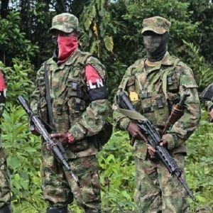 ELN se alista para iniciar cese al fuego en Colombia
