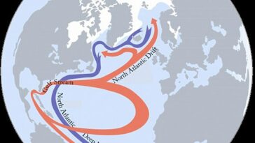 Miedos: Una nueva investigación advierte que la corriente del Océano Atlántico que impulsa la Corriente del Golfo (en la foto) podría colapsar en 'cualquier momento' a partir de 2025 gracias al cambio climático