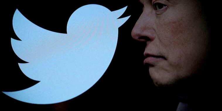 Elon Musk dice que Twitter cambiará el logo, 'adiós a los pájaros'