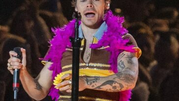Harry Styles 'golpeado en la cara por un objeto' durante un concierto en Viena