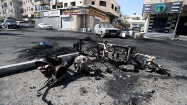 Israel cometió una masacre en Jenin: Federación Palestina de América Latina dice