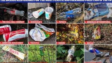 Nuevos datos han revelado las marcas 'Dirty Dozen' responsables de la gran mayoría (70 por ciento) de la contaminación de envases y plásticos de marca en el Reino Unido.