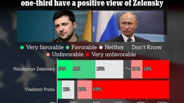 Solo el 13 por ciento de los republicanos en New Hampshire tienen una visión "muy favorable" del HÉROE global Volodymyr Zelensky, según la encuesta primaria de 2024 de Dailymail.com, y la mitad quiere REDUCIR el apoyo a Ucrania.