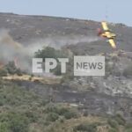Las imágenes transmitidas el martes mostraron al avión luchando contra los incendios forestales en la isla griega de Evia (en la foto) antes de desaparecer detrás de una colina en un cañón.