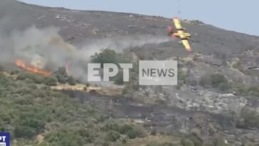 Las imágenes transmitidas el martes mostraron al avión luchando contra los incendios forestales en la isla griega de Evia (en la foto) antes de desaparecer detrás de una colina en un cañón.