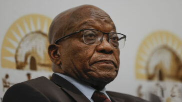 Zuma de Sudáfrica debe regresar a la cárcel por desacato: dictamina la corte |  The Guardian Nigeria Noticias