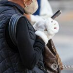 (LEAD) Cold wave alert issued for Seoul, eastern regions