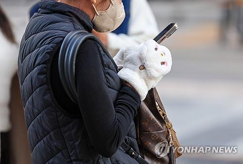 (LEAD) Cold wave alert issued for Seoul, eastern regions